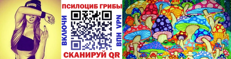 сколько стоит  нарко площадка официальный сайт  Псилоцибиновые грибы GOLDEN TEACHER  Зубцов 